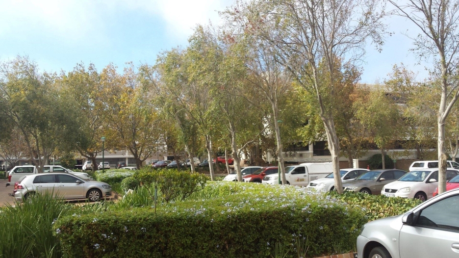To Let commercial Property for Rent in Pinelands Western Cape